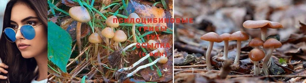 mix Аркадак