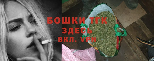 гидра Арсеньев