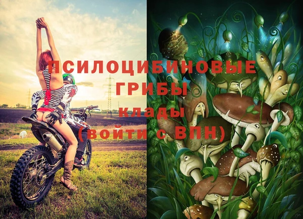 mix Аркадак