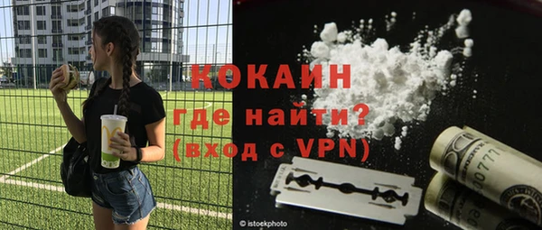 гидра Арсеньев