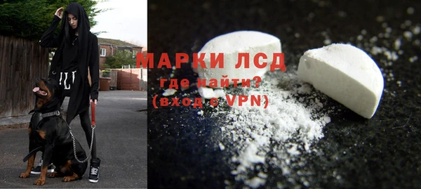 гидра Арсеньев