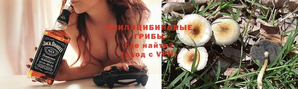 гидра Арсеньев