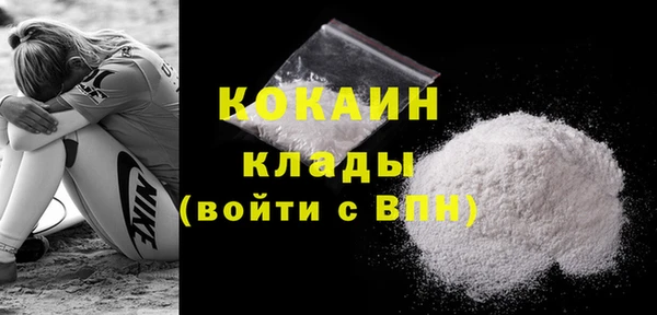 гидра Арсеньев