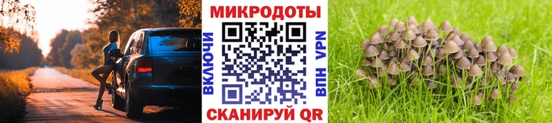 Псилоцибиновые грибы Psilocybine cubensis Аша